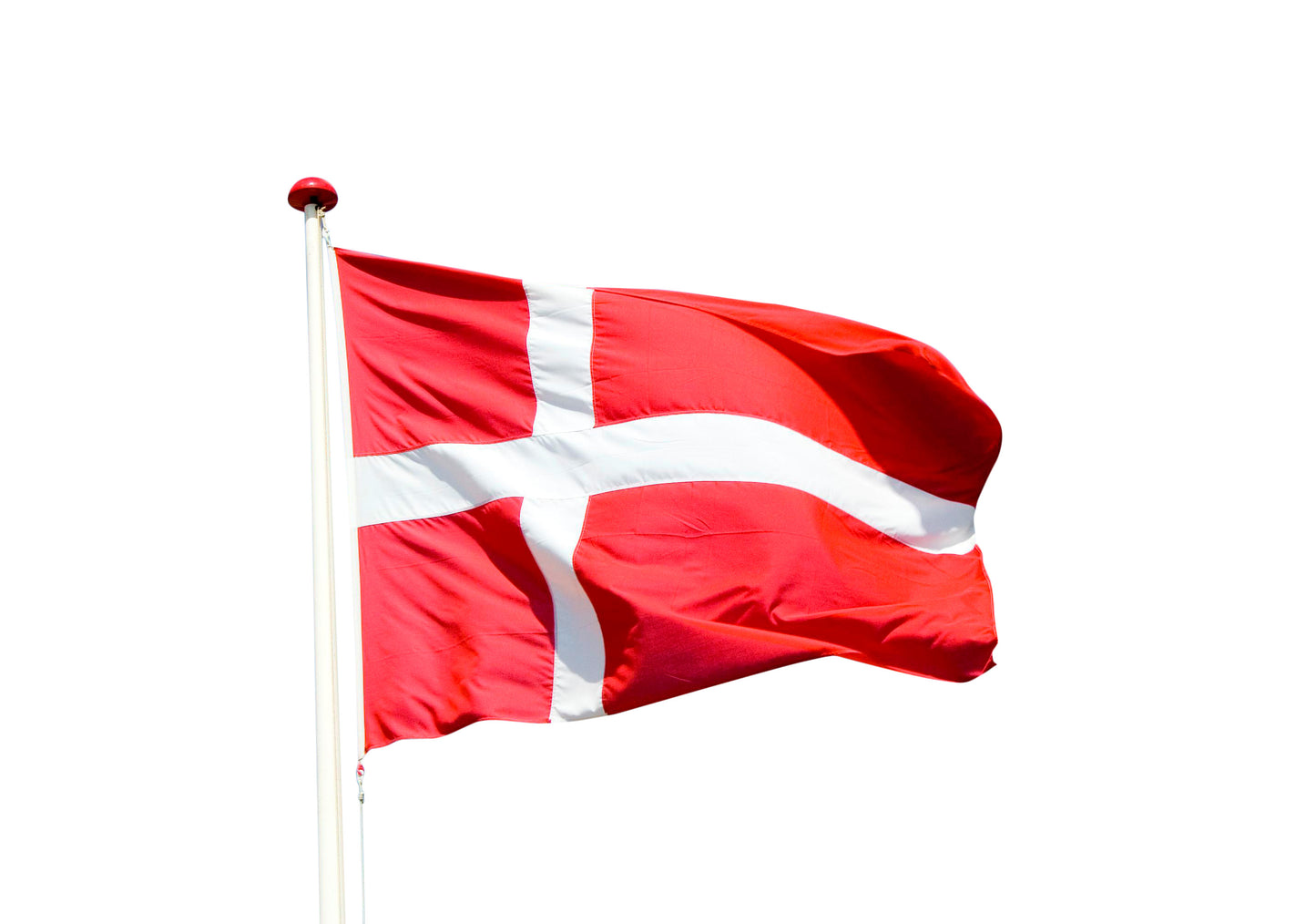 Dannebrogsflag, 11 meter flagstang